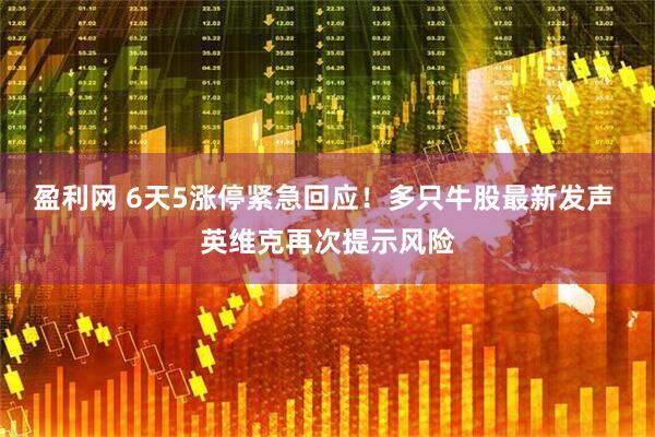 盈利网 6天5涨停紧急回应！多只牛股最新发声 英维克再次提示风险