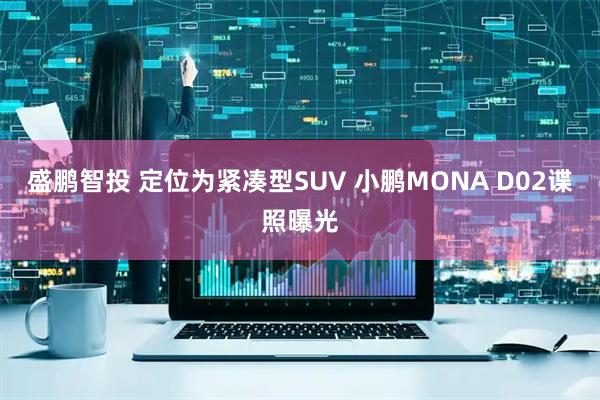 盛鹏智投 定位为紧凑型SUV 小鹏MONA D02谍照曝光