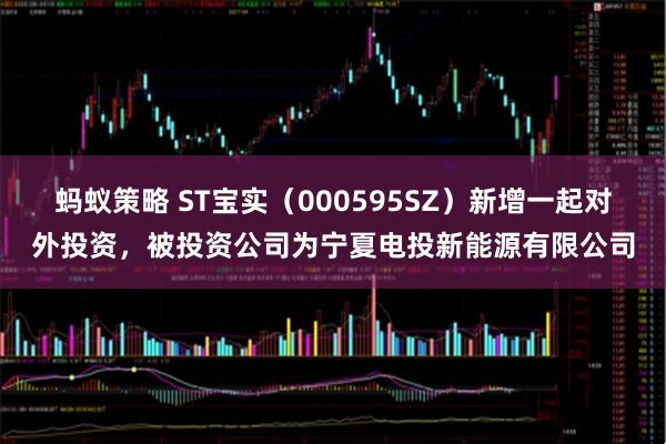 蚂蚁策略 ST宝实（000595SZ）新增一起对外投资，被投资公司为宁夏电投新能源有限公司