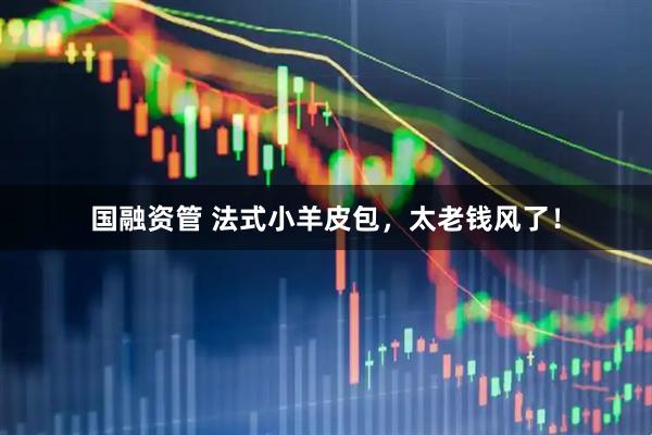 国融资管 法式小羊皮包，太老钱风了！